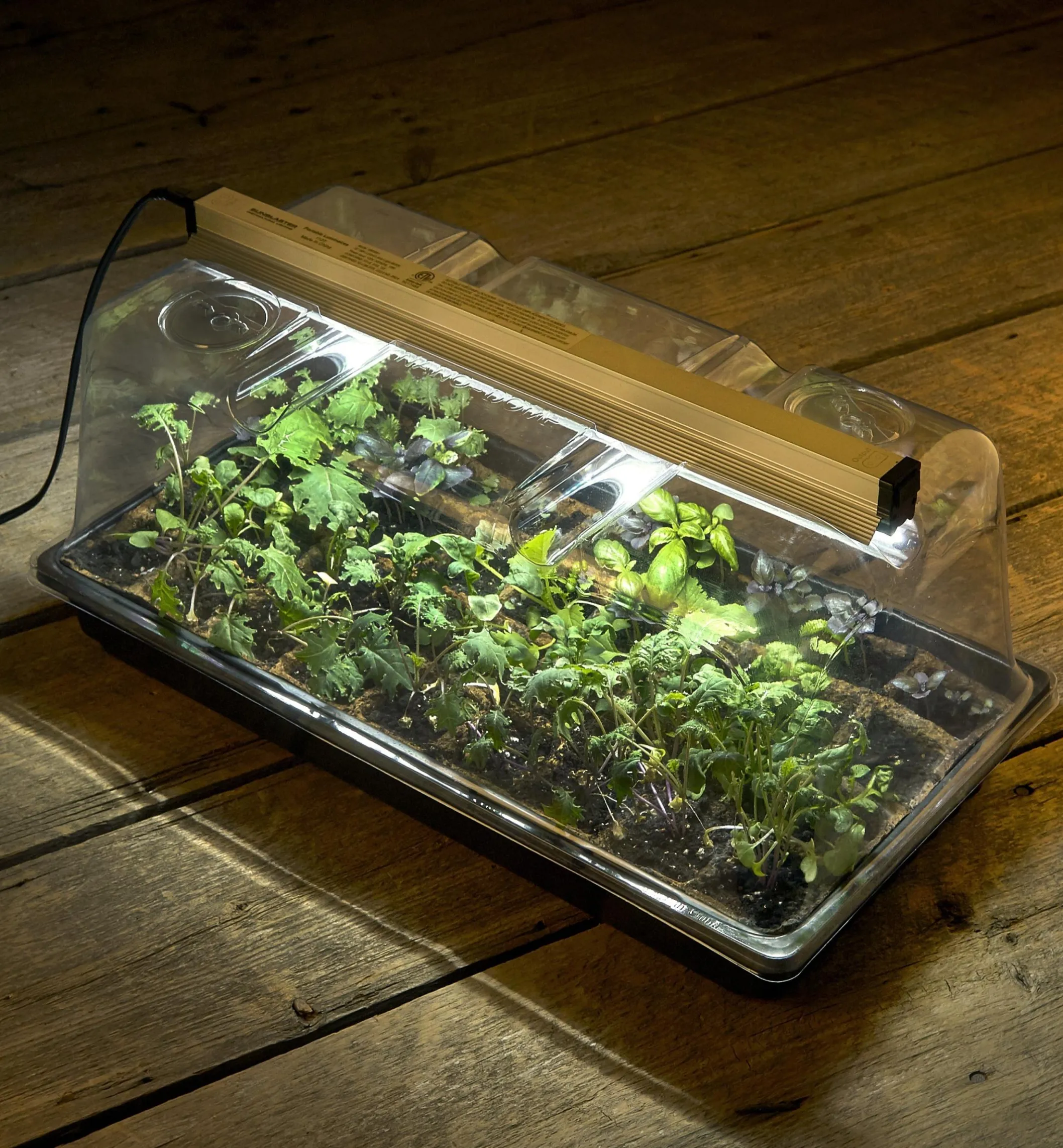 Propagation Tray, Dome, Grow Light & Timer Set