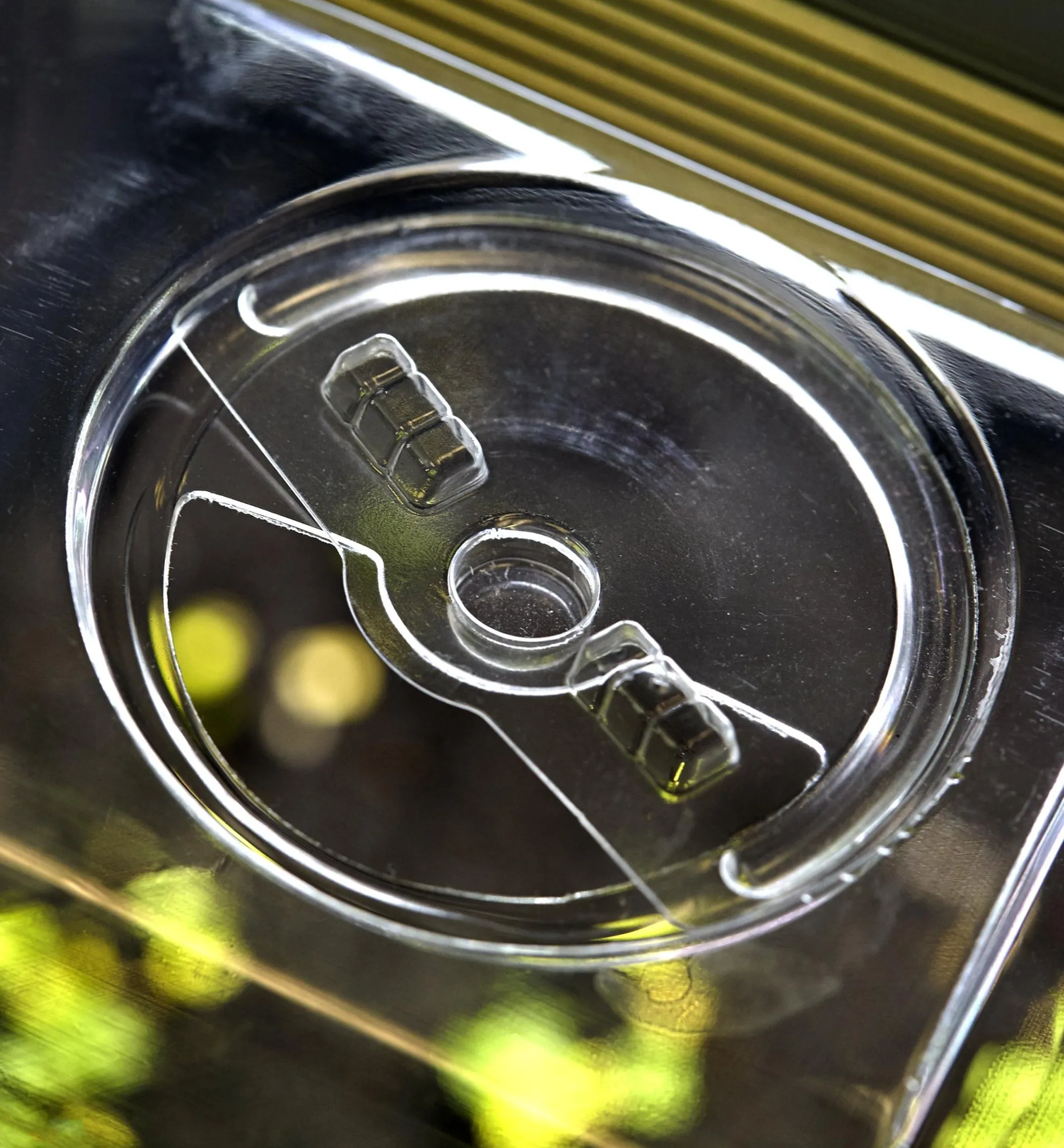 Propagation Tray, Dome, Grow Light & Timer Set