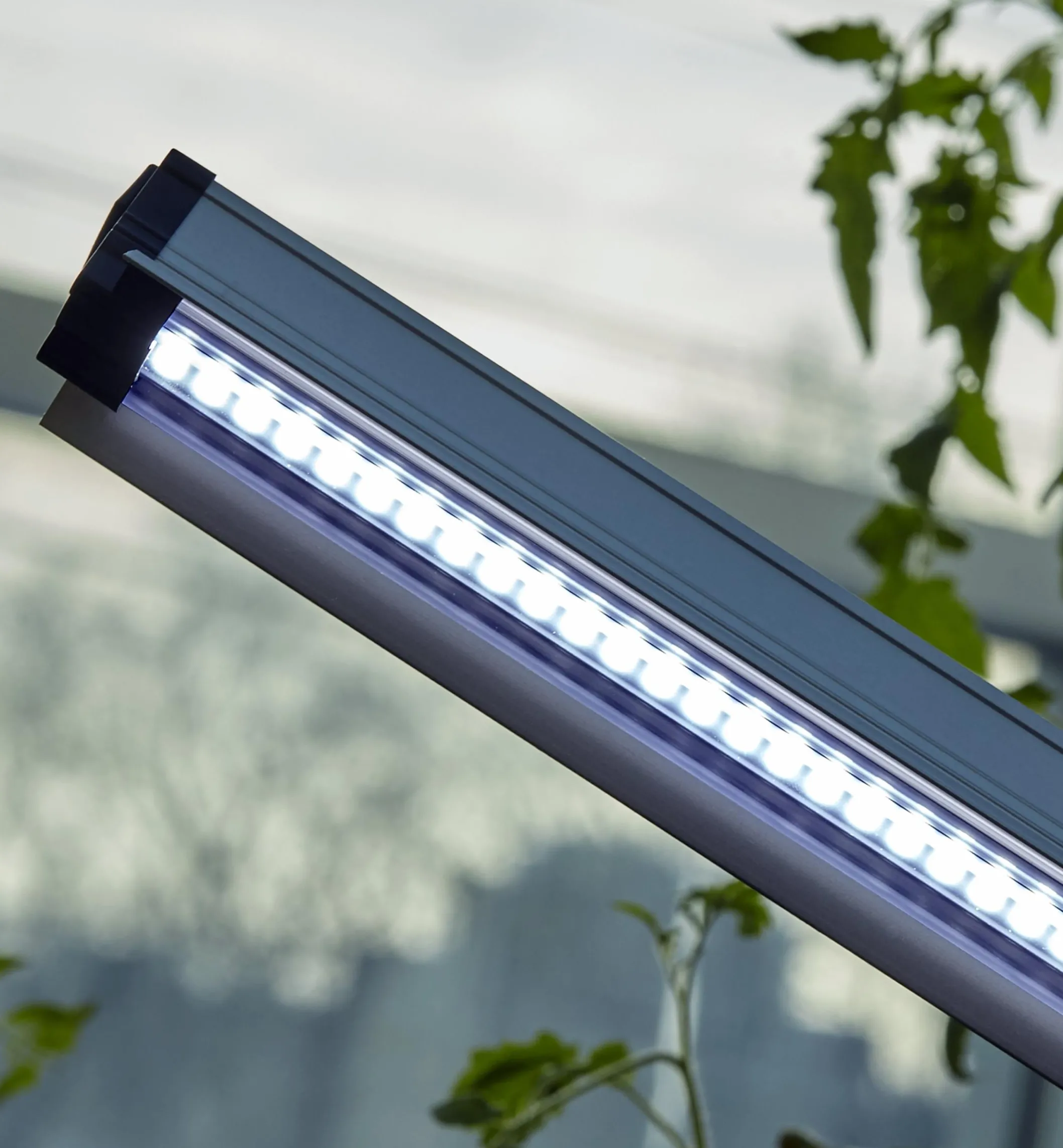 Propagation Tray, Dome, Grow Light & Timer Set