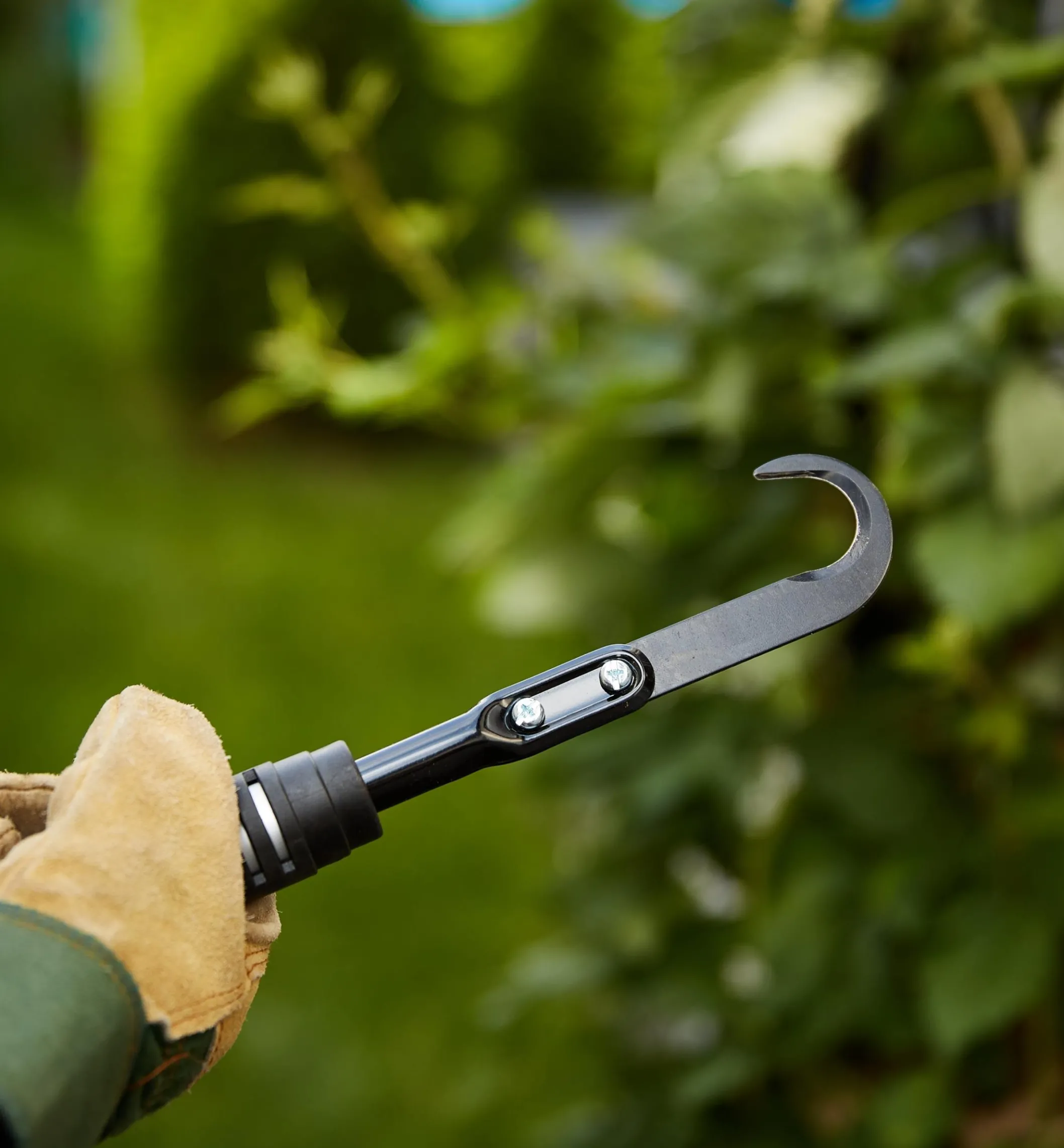 Raspberry Cane Cutter