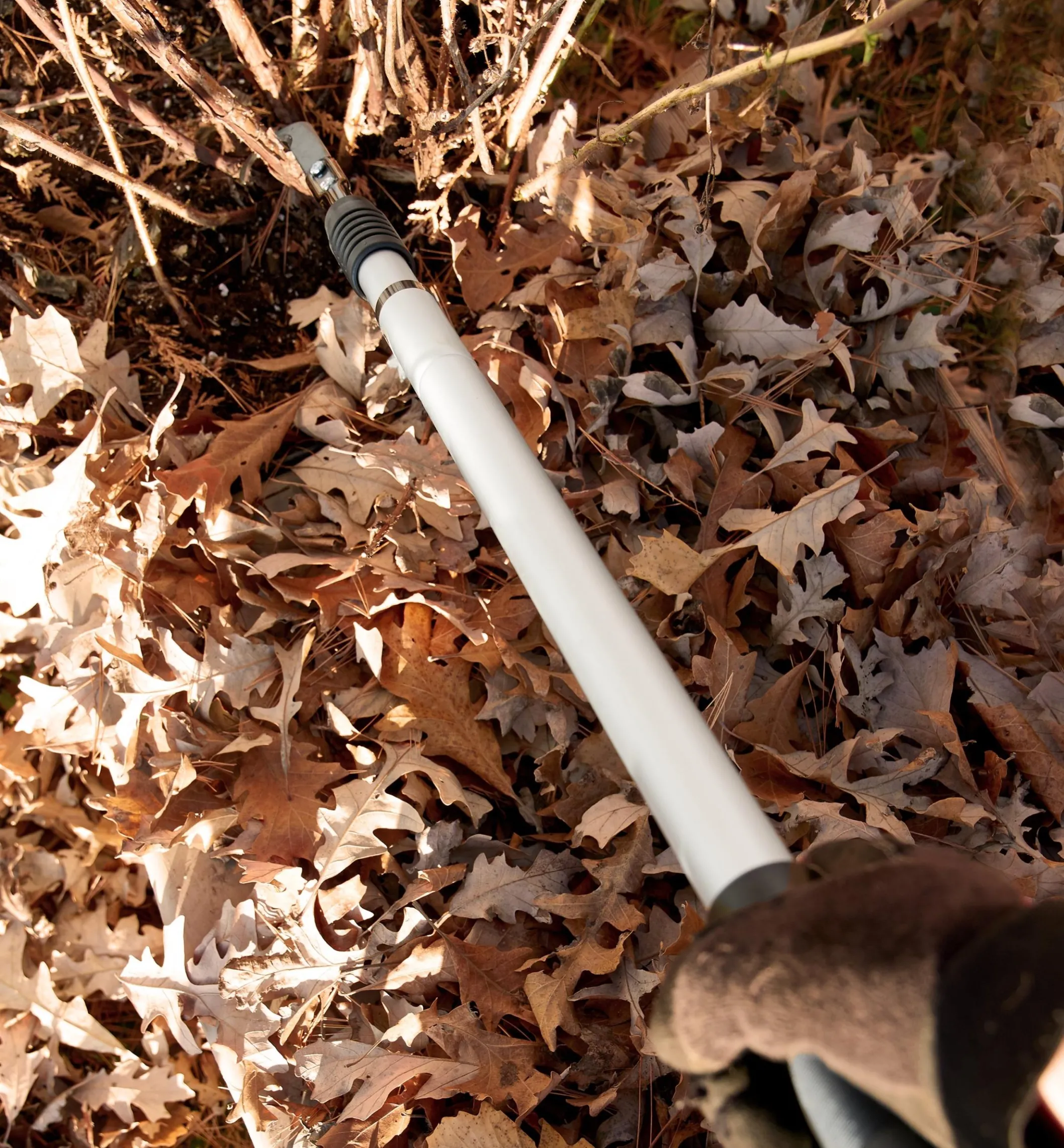 Raspberry Cane Cutter