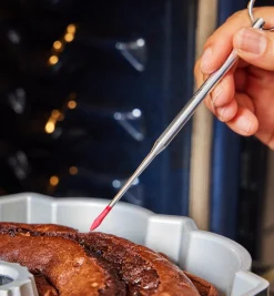 Reusable Cake Tester/Thermometer