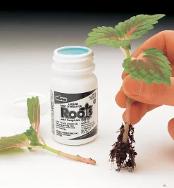 Root Stimulator