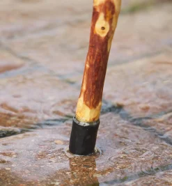 Rubber/Brass Cane Tip