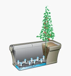 Self-Watering Planter