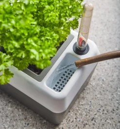 Self-Watering Windowsill Planter