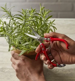 Set Of 2 Mini Garden Shears