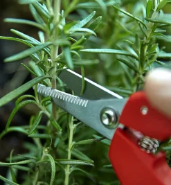 Set Of 2 Multi-Purpose Mini Shears