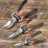 Set Of 3 Stainless-Steel Pruning Tools