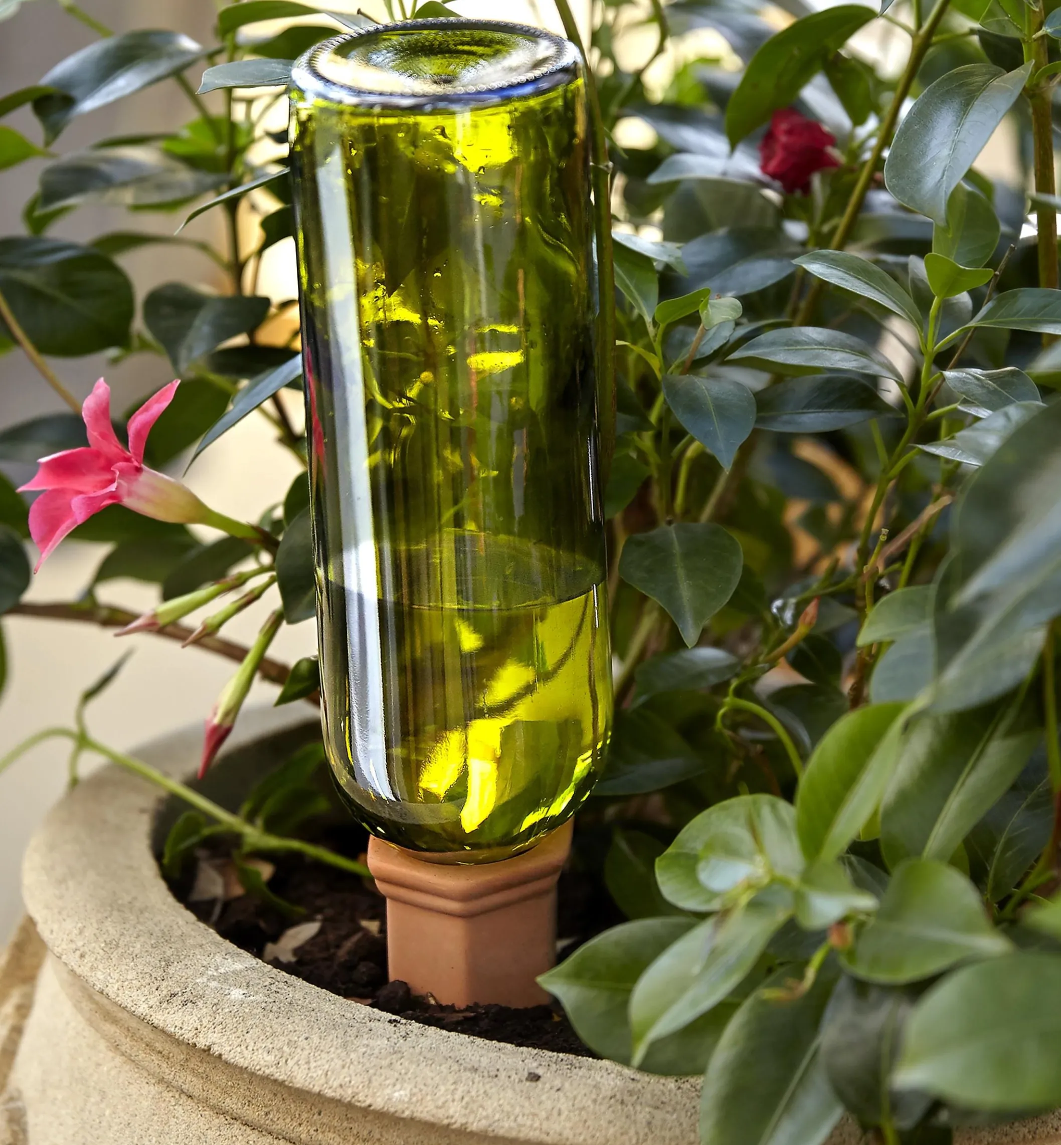 Set Of 4 Terra Cotta Watering Spikes