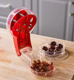 Six-Cherry Pitter