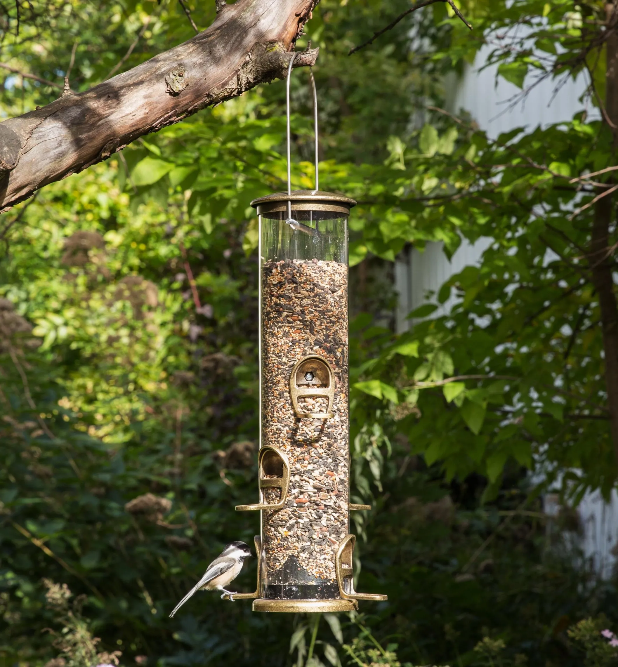 Songbird Quick-Clean Tube Feeders