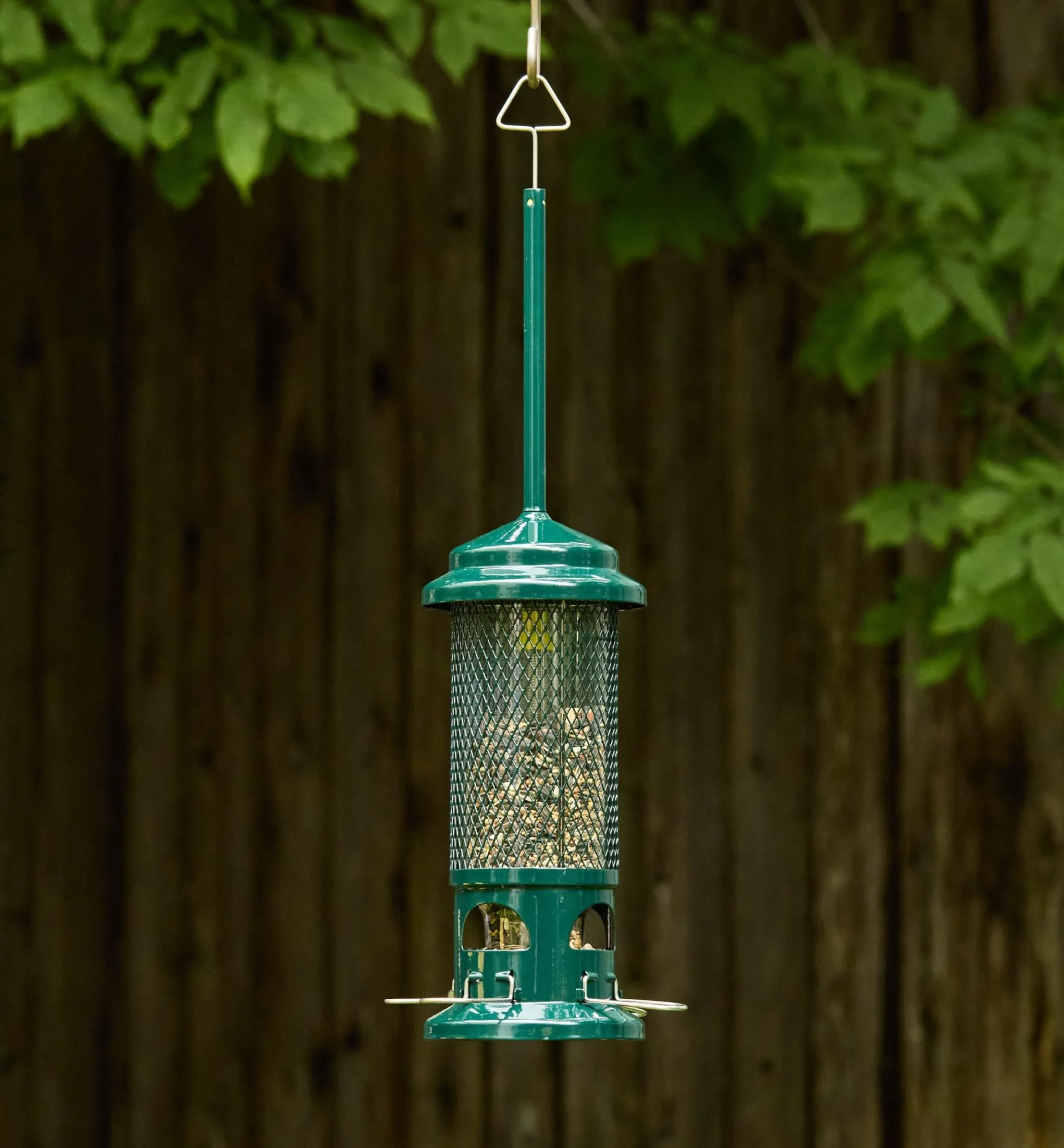 Squirrel Buster Standard Bird Feeder
