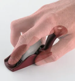 Squirrel-Tail Palm Planes