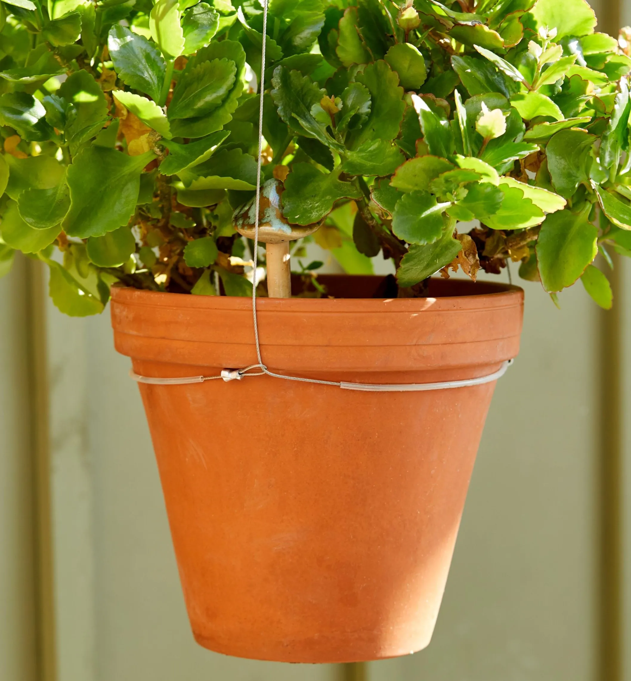 Stainless-Steel Adjustable Pot Hanger