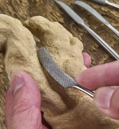 Stainless-Steel Hand-Stitched Riffler Set