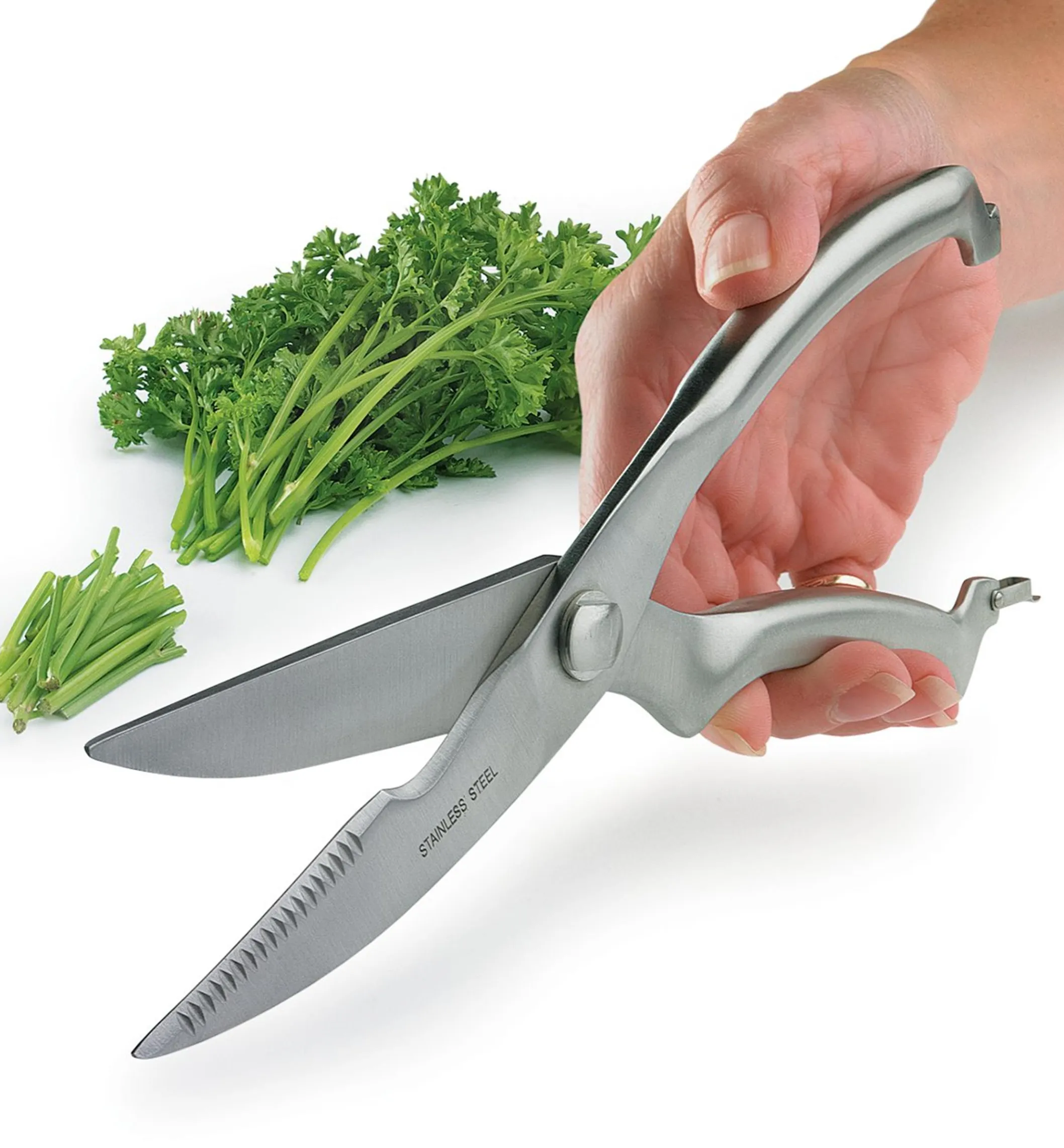 Stainless-Steel Kitchen Shears