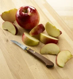 Stainless-Steel Paring Knife