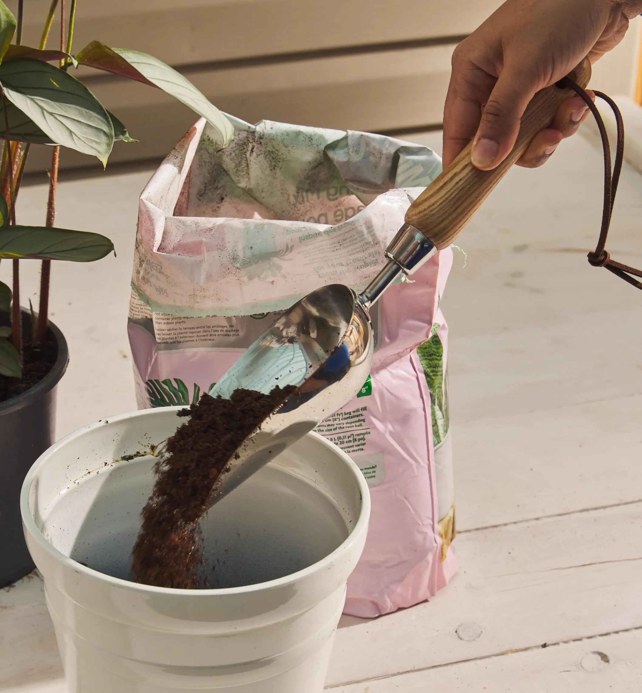 Stainless-Steel Scoop