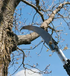 Telescoping Aluminum Pole Saw