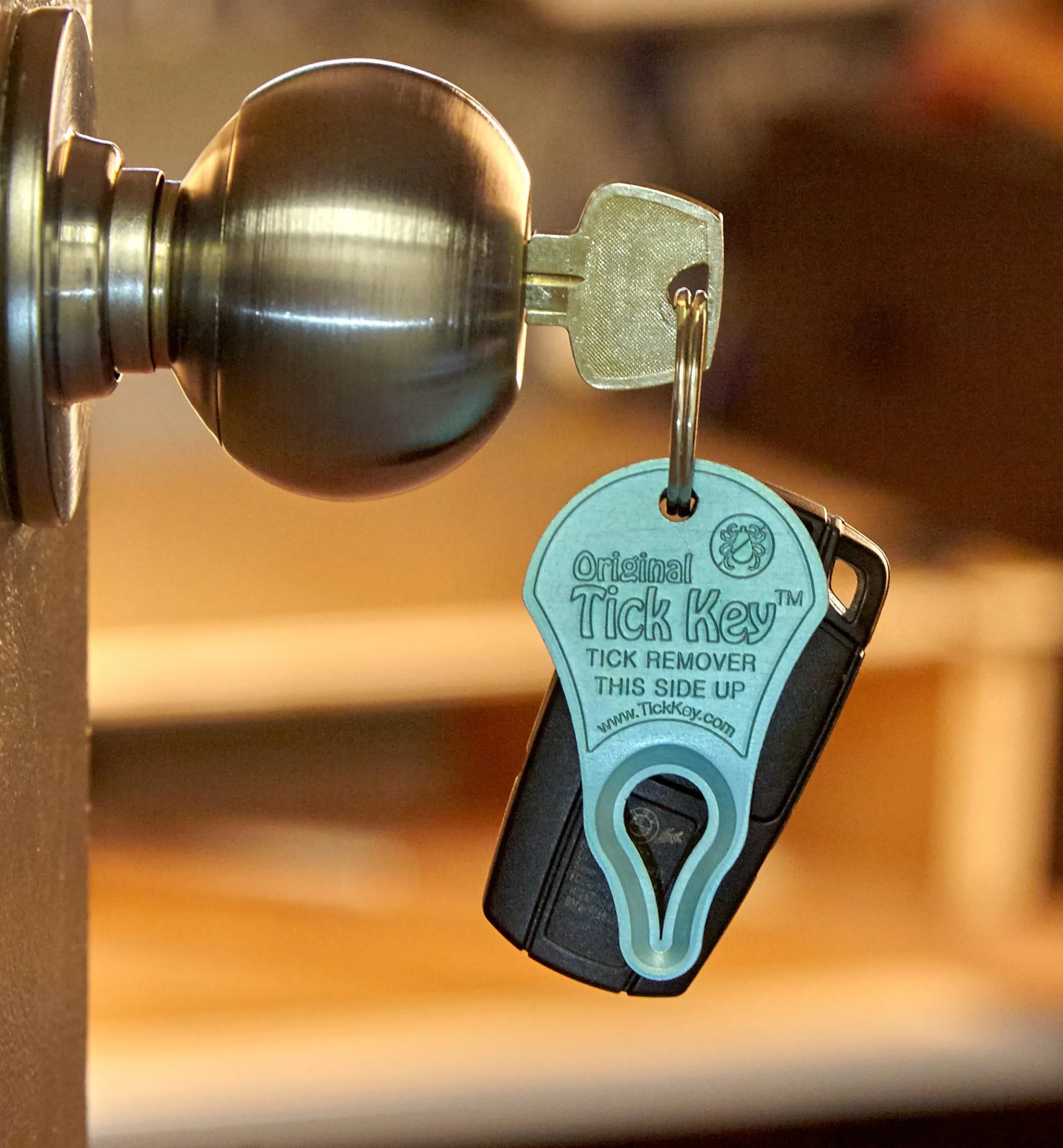 Tick Key Tick Remover