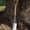Transplant Spade