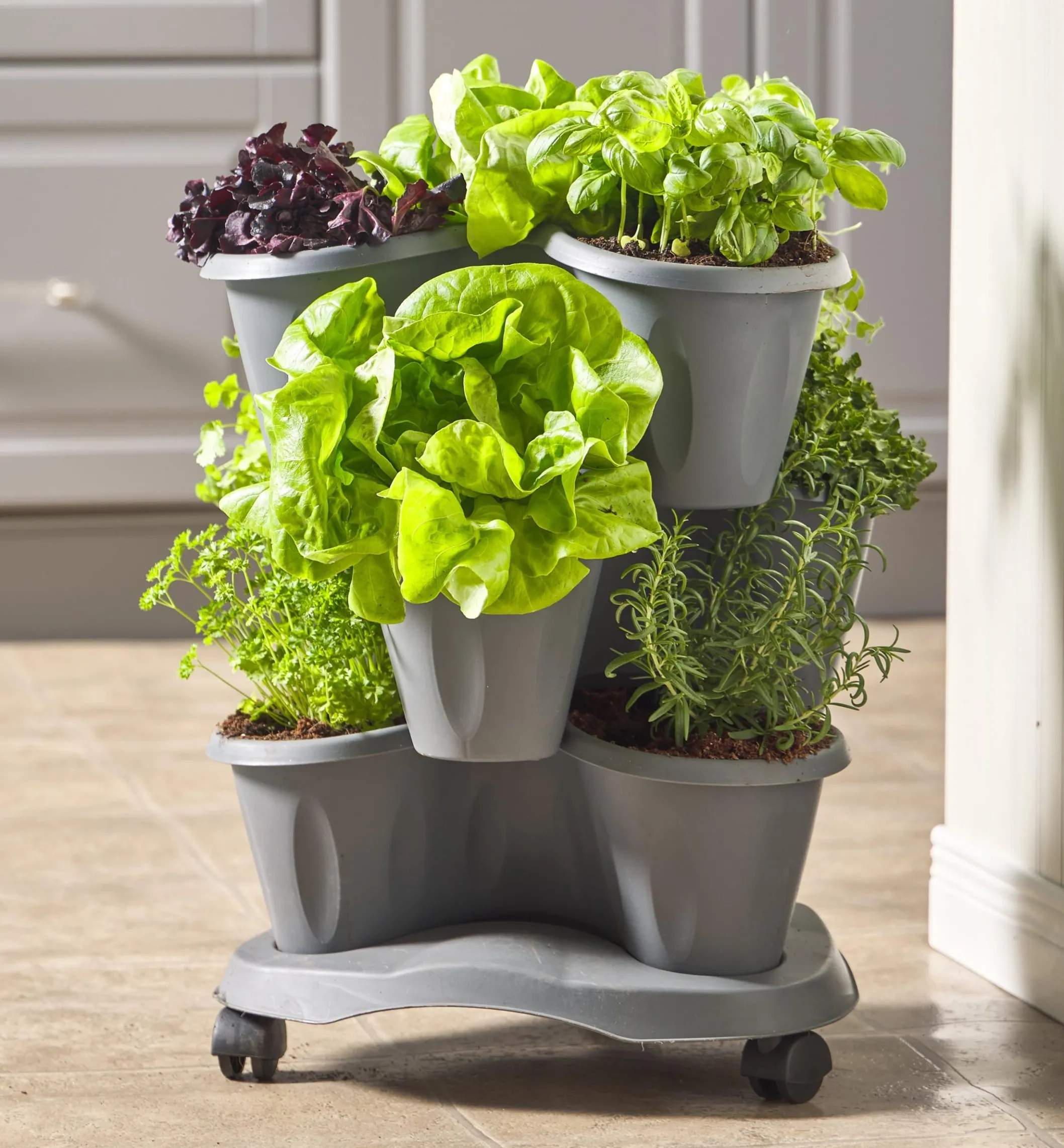Triple Planter