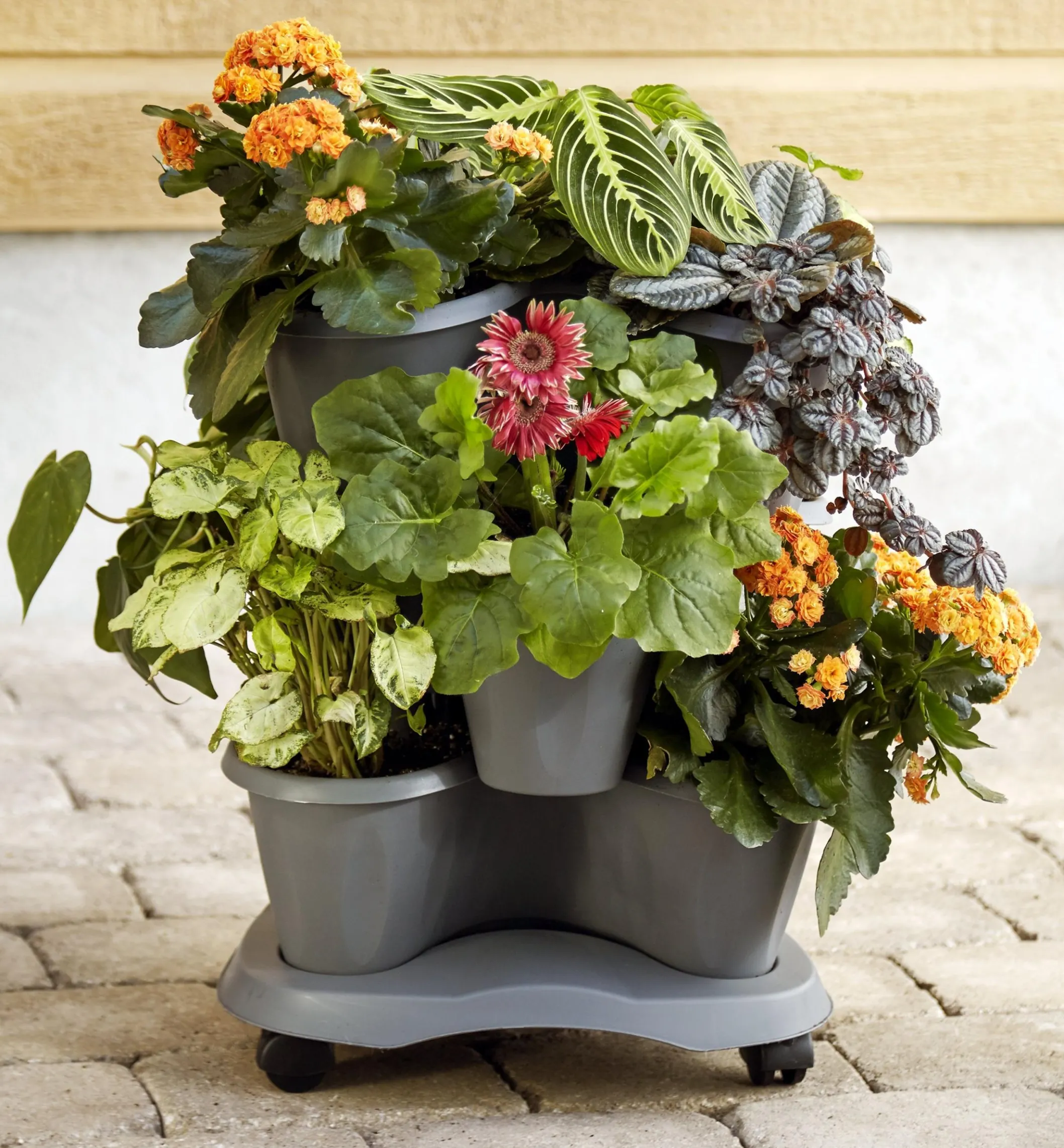 Triple Planter