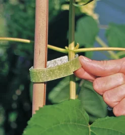 VELCRO® Plant Tie