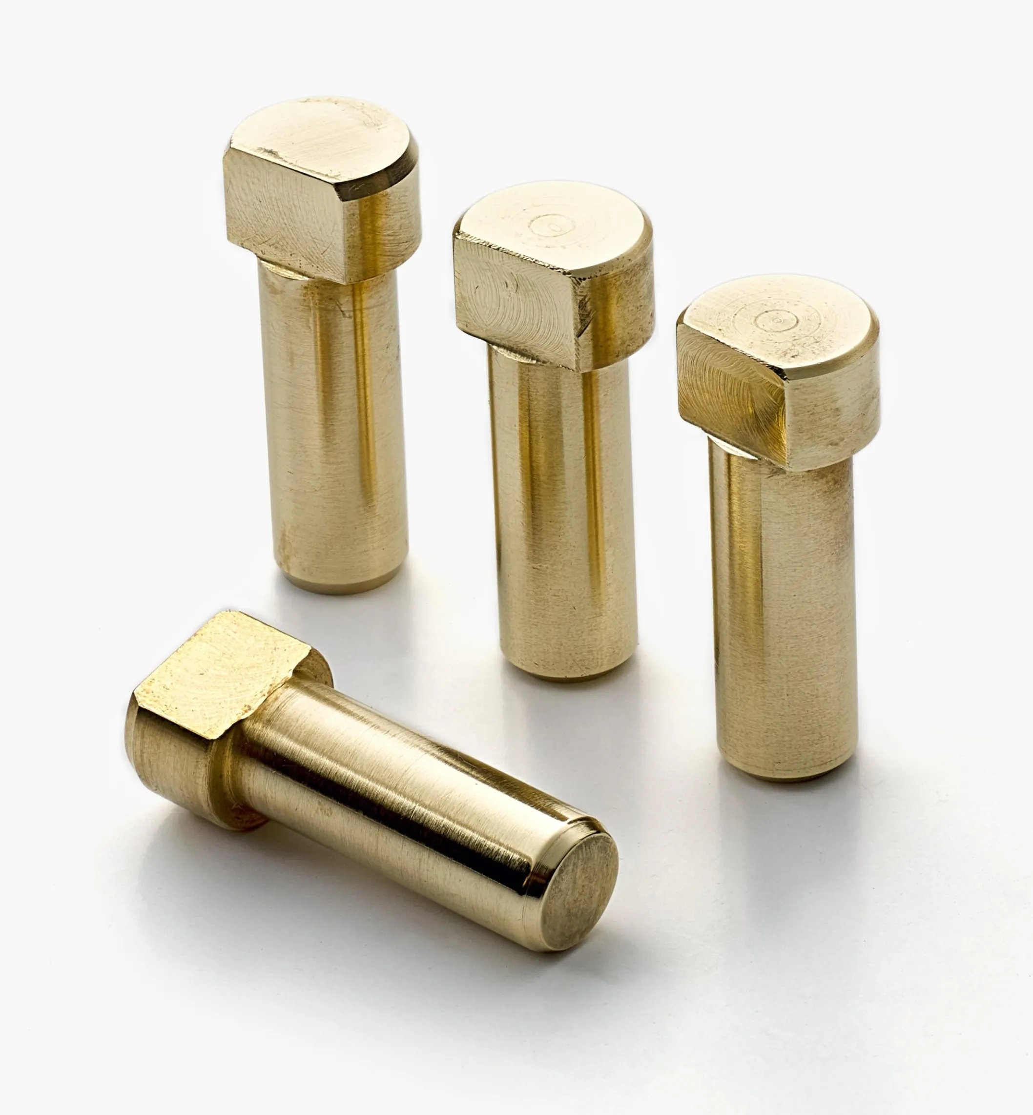 Veritas Miniature Surface Dogs