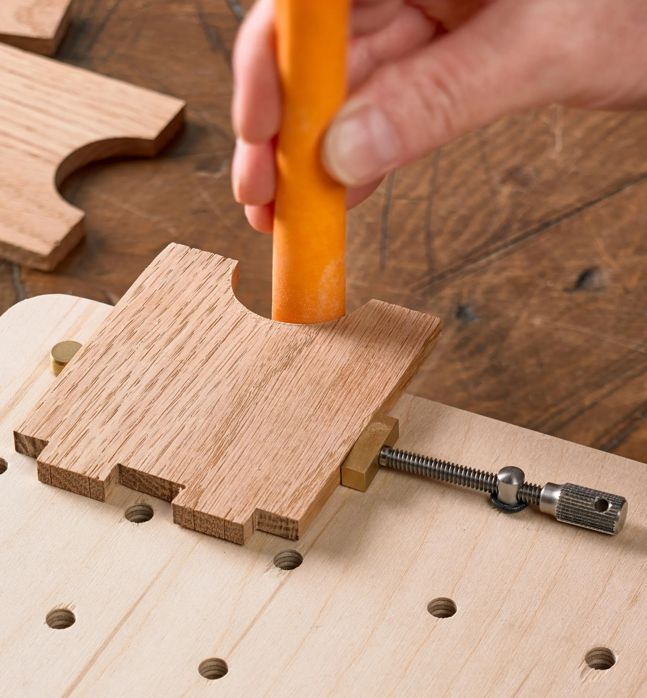 Veritas Miniature Wonder Dog