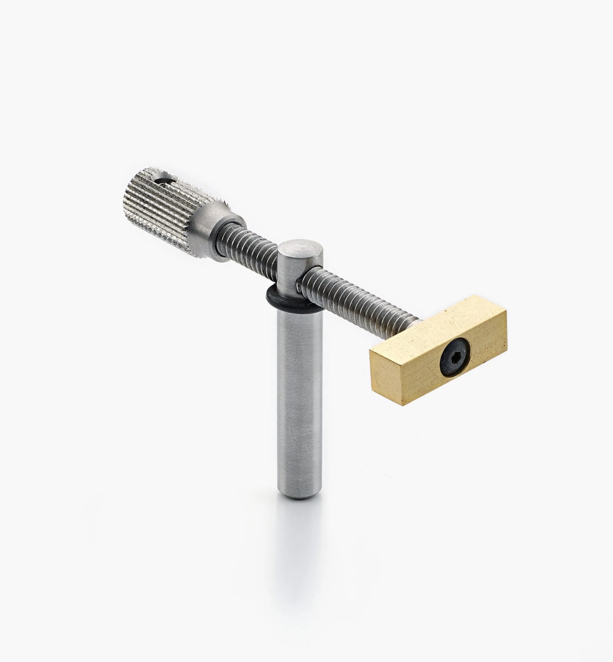 Veritas Miniature Wonder Dog