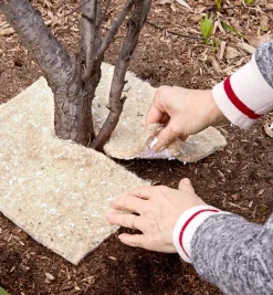 Weed Suppression Squares