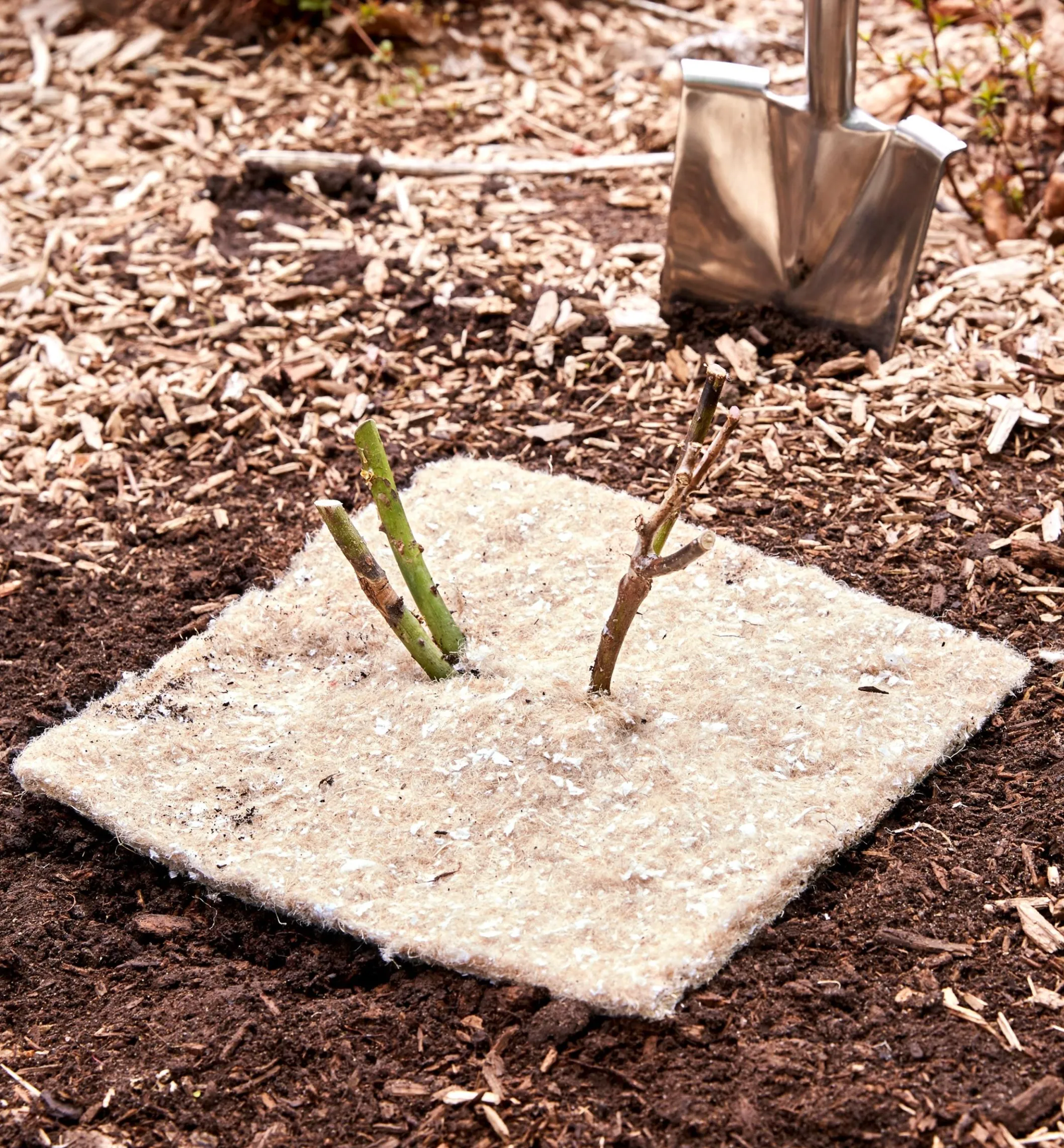 Weed Suppression Squares