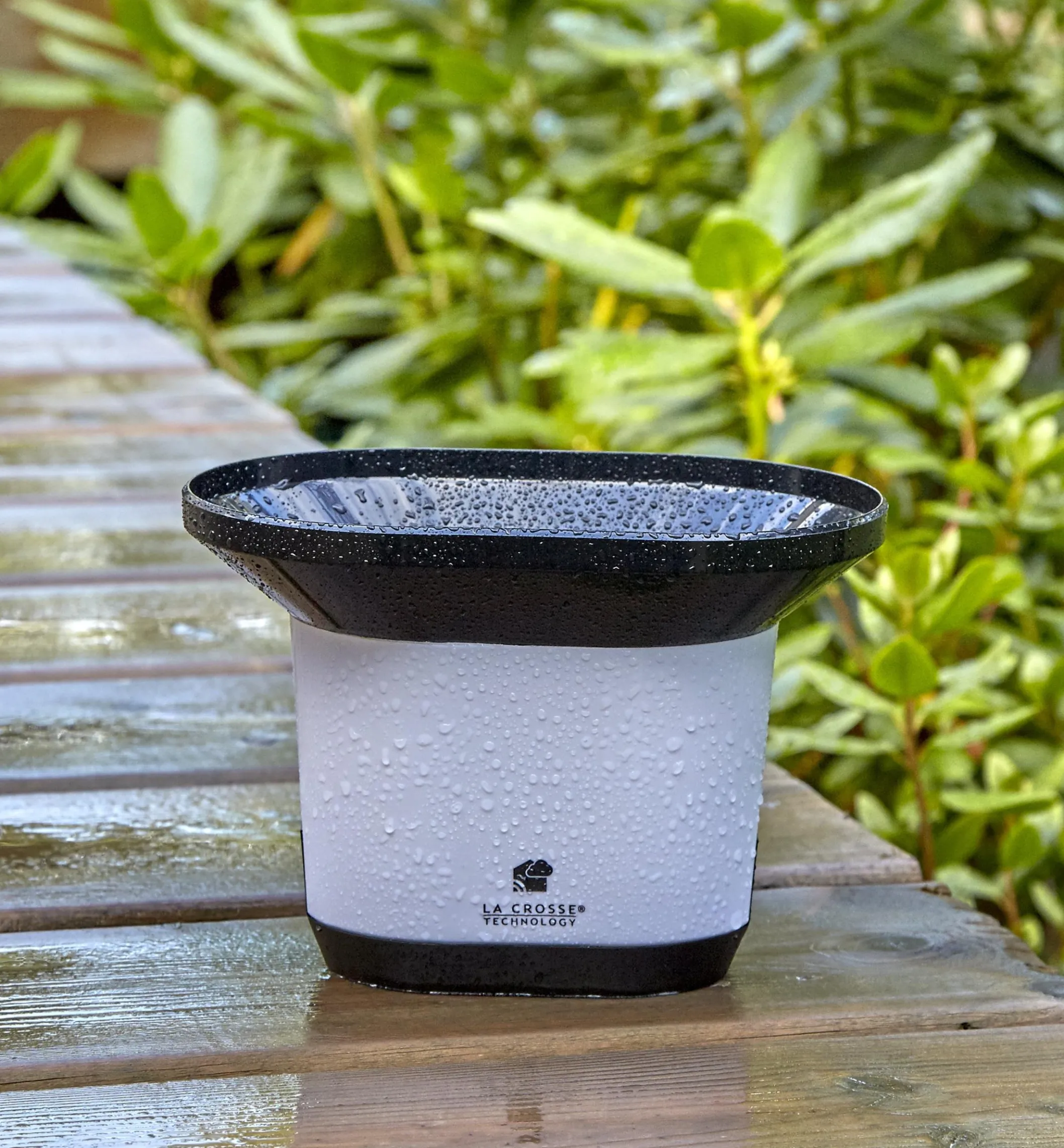 Wi-Fi Weather Station With Wind And Rain