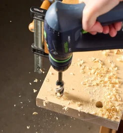 Wood Owl OverDrive Bits