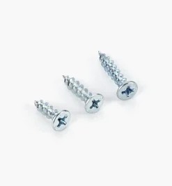 Zinc-Plated Hinge Screws